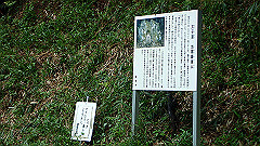 pa090029_thumb.jpg
