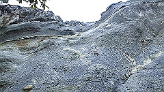 pa090046.mov_thumb.jpg