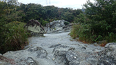 pa090055_thumb.jpg
