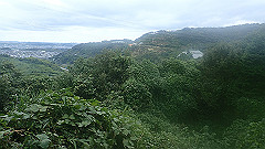 pa090076_thumb.jpg