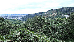 pa090077.mov_thumb.jpg