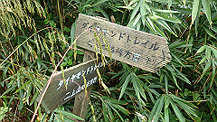 pa090083_thumb.jpg