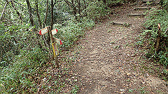 pa090087_thumb.jpg