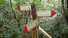 pa090088_thumb.jpg