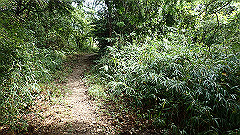 pa090092_thumb.jpg