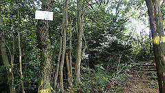 pa090098_thumb.jpg