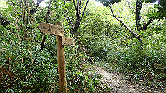 pa090101_thumb.jpg