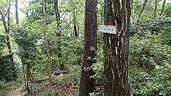 pa090103_thumb.jpg