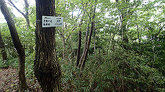 pa090104_thumb.jpg
