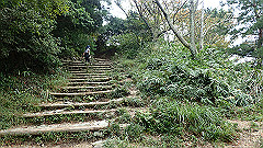 pa090116_thumb.jpg