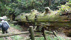 pa090125_thumb.jpg