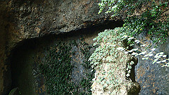pa090132_thumb.jpg