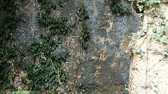 pa090136_thumb.jpg