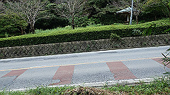 pa090140_thumb.jpg