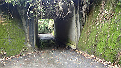 pa090153_thumb.jpg