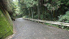 pa090154_thumb.jpg