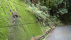 pa090156_thumb.jpg