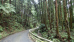 pa090157_thumb.jpg