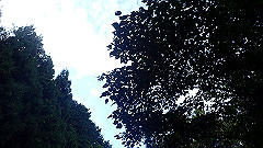 pa090163_thumb.jpg