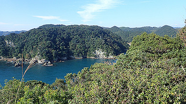 pb050157_thumb.jpg
