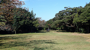 pb050172_thumb.jpg