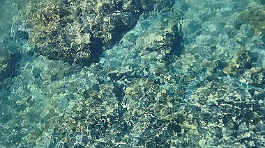 pb050186_x264.mp4_snapshot_00.00_thumb.jpg
