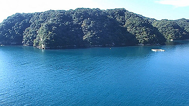 pb050186_x264.mp4_snapshot_00.18_thumb.jpg