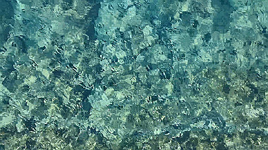pb050192_x264.mp4_snapshot_00.01_thumb.jpg
