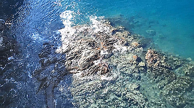 pb050194_x264.mp4_snapshot_00.01_thumb.jpg