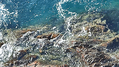 pb050194_x264.mp4_snapshot_00.12_thumb.jpg