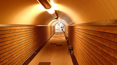 pb050200_thumb.jpg