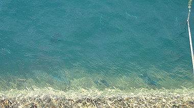 pb050214_thumb.jpg