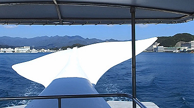 pb050229_x264.mp4_snapshot_01.29_thumb.jpg