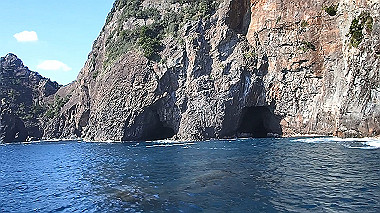 pb050234_x264.mp4_snapshot_00.34_thumb.jpg