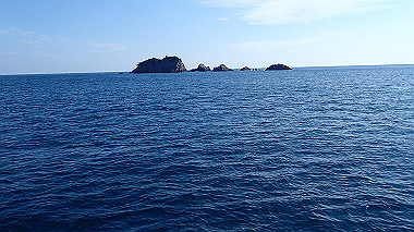pb050248_thumb.jpg