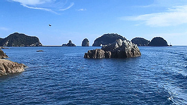 pb050259_x264.mp4_snapshot_00.01_thumb.jpg