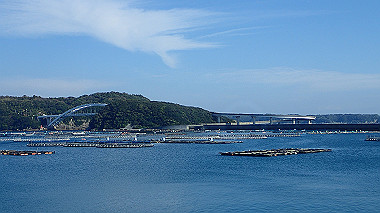 pb050275_thumb.jpg