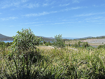 dscn1764_thumb.jpg