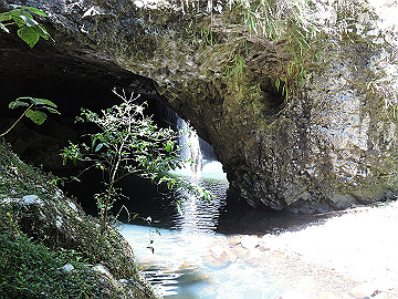 dscn1787_thumb.jpg