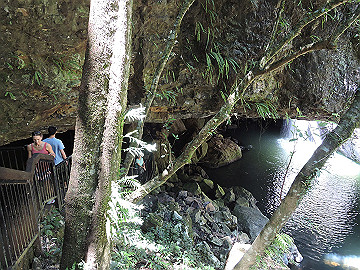 dscn1792_thumb.jpg