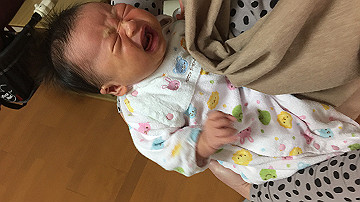 img_6585_thumb.jpg