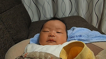 pb300787_x264.mp4_thumb.jpg