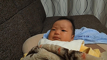 pb300788_x264.mp4_thumb.jpg