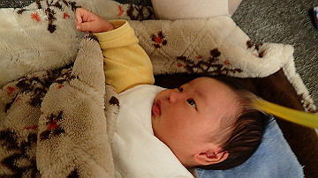 pb300796_thumb.jpg