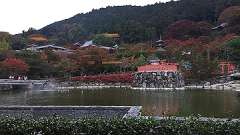 img_6393_thumb.jpg