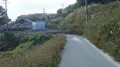 pb060474_thumb.jpg