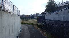 pb060486_thumb.jpg