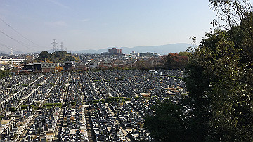 img_6456_thumb.jpg