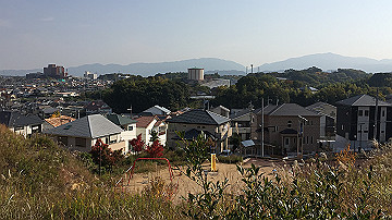 img_6458_thumb.jpg
