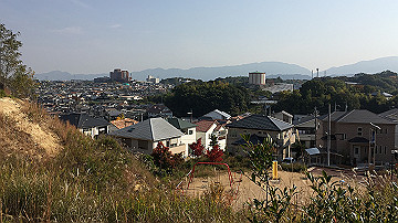 img_6459_thumb.jpg